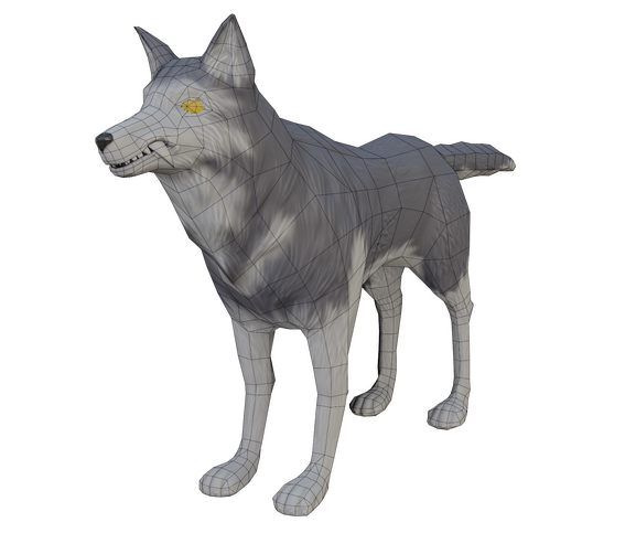 Dire Wolf 3D model built for VRChat, for overworld engagement in experience. Sculpted in ZBrush, retopologized, textured in Substance 3D Painter, optimized to be under 3,000 triangles. 1/2